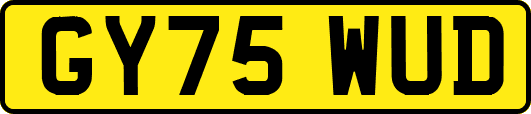 GY75WUD