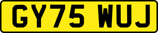 GY75WUJ