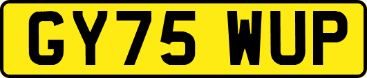 GY75WUP