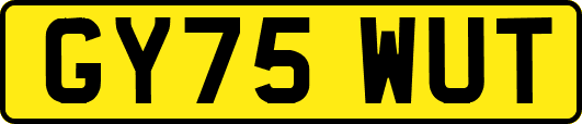 GY75WUT