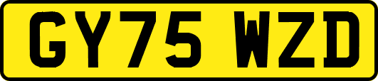 GY75WZD