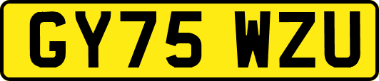 GY75WZU