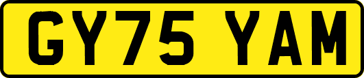 GY75YAM