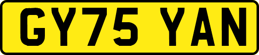 GY75YAN