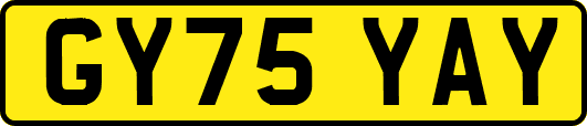 GY75YAY