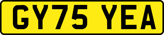GY75YEA