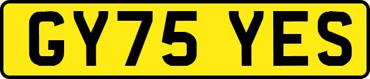 GY75YES