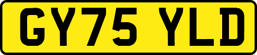 GY75YLD