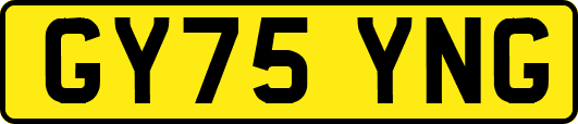 GY75YNG