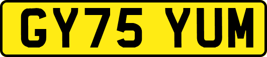 GY75YUM