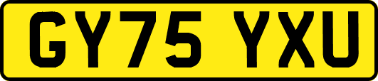 GY75YXU