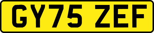 GY75ZEF