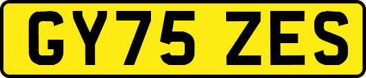 GY75ZES