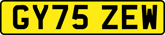 GY75ZEW