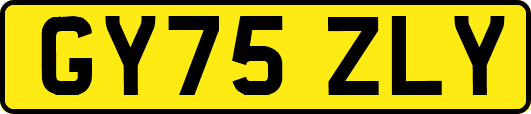 GY75ZLY