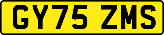 GY75ZMS