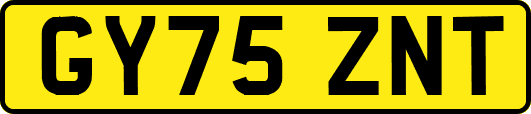 GY75ZNT