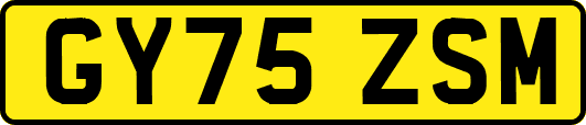 GY75ZSM