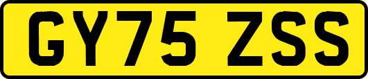 GY75ZSS