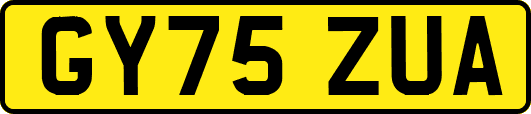 GY75ZUA
