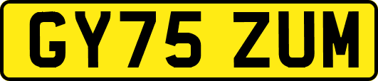 GY75ZUM