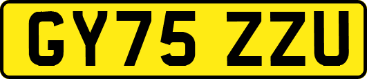 GY75ZZU