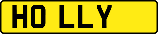 H0LLY