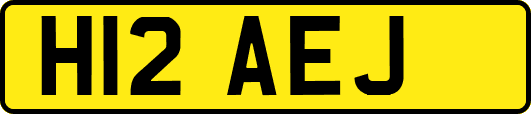 H12AEJ