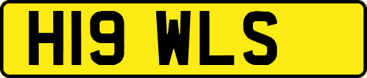 H19WLS