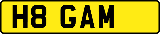H8GAM