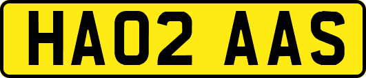 HA02AAS