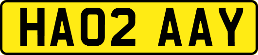 HA02AAY