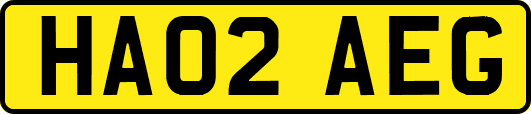HA02AEG
