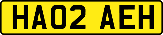 HA02AEH