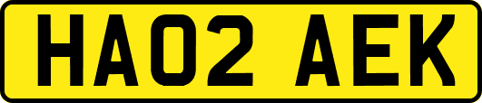 HA02AEK