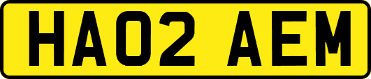 HA02AEM