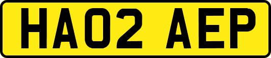 HA02AEP