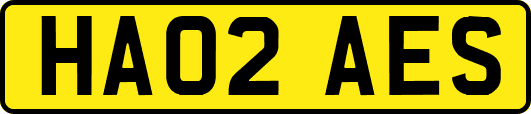 HA02AES