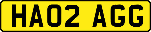HA02AGG