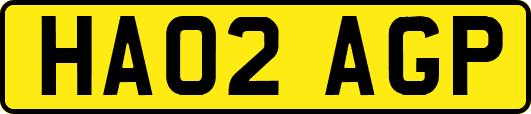 HA02AGP