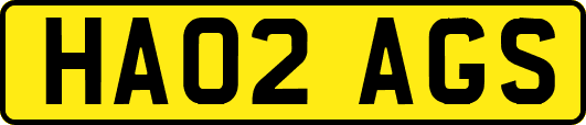 HA02AGS