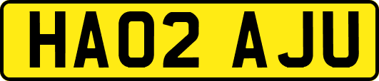 HA02AJU