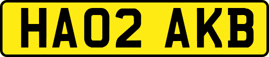 HA02AKB