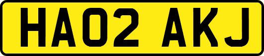 HA02AKJ