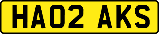 HA02AKS