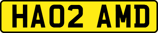 HA02AMD
