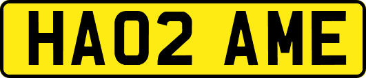 HA02AME