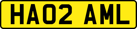 HA02AML