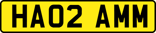 HA02AMM