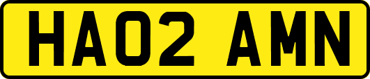 HA02AMN
